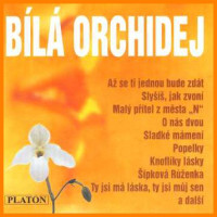 CDVarious / B�l� orchidej / 17 Tracks
