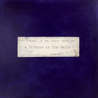 2LPVarious / Leader Of The Starry Skies:Tribute to... / Vinyl / 2LP