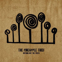 2LPPineapple Thief / Nothing But the Truth / Live / Vinyl / 2LP