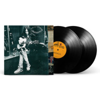 2LPYoung Neil / Greatest Hits / Vinyl / 2LP
