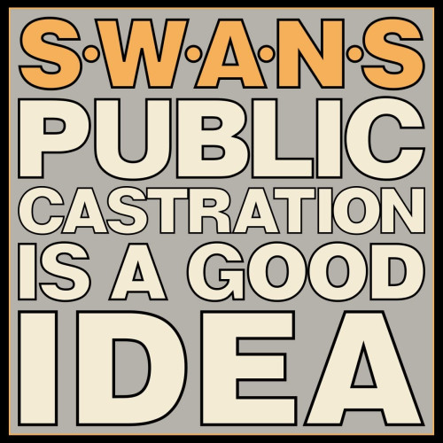 2LP / Swans / Public Castration Is A Good Idea / Vinyl / 2LP