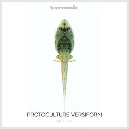 CD / Protoculture / Versiform, Pt.1