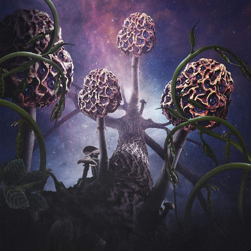 CD / Blut Aus Nord / Hallucinogen