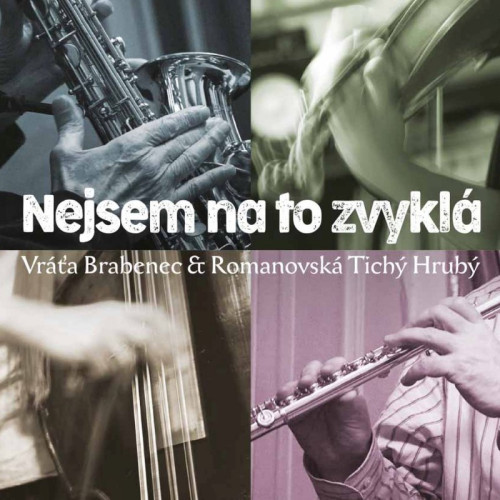 CD / Brabenec/Romanovsk�/Tich�/Hrub� / Nejsem na to zvykl�