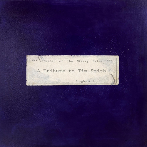 2LP / Various / Leader Of The Starry Skies:Tribute to... / Vinyl / 2LP