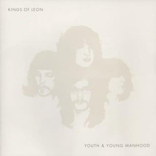 2LP / Kings Of Leon / Youth & Young Manhood / Vinyl