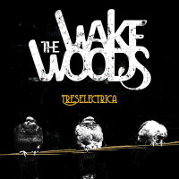 CDWake Woods / Treselectrica / Digipack