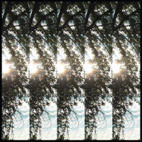 LPPontiak / Dialectic Of Ignorance / Vinyl