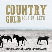 2CDVarious / Country Gold 60. & 70.l�ta / 2CD