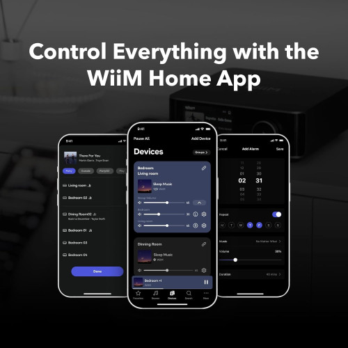 HIFI / HIFI / Streamer / All In One System WiiM AMP Ultra / Gray