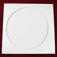 LPGRAMO / Obal na LP kapsa Picture / White / 10ks