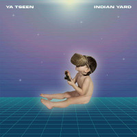 LPYa Tseen / Indian Yard / Vinyl