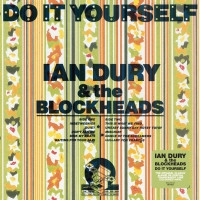 LPDury Ian & The Blockheads / Do It Yourself / Coloured / Vinyl