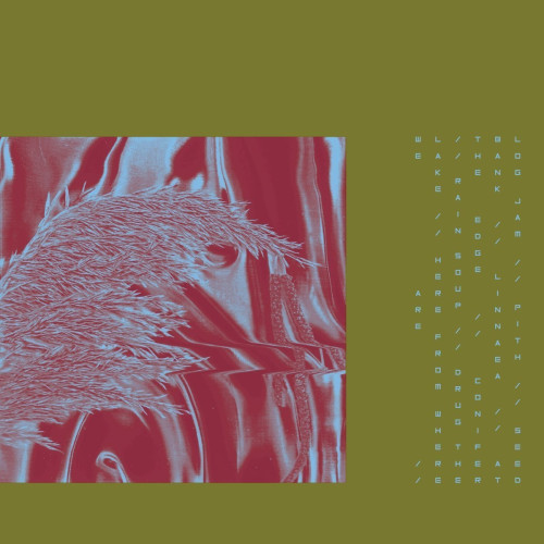 CD / Pariah / Here From Where We Are