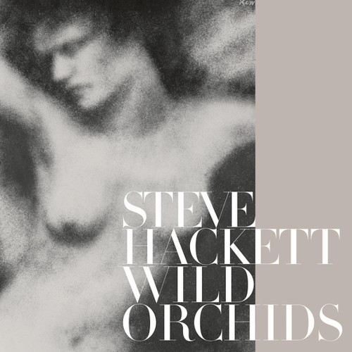 2LP / Hackett Steve / Wild Orchids / Reedice / Vinyl / 2LP
