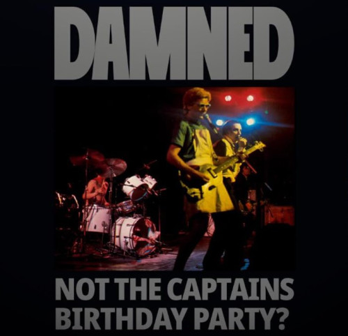 LP / Damned / Not The Captain's Birthday Party / Vinyl