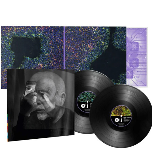 2LP / Gabriel Peter / O\I / Dark Side Mix / Vinyl / 2LP
