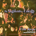 2CD / Mountain / First Steps / 2CD