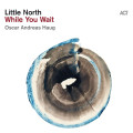 LPLittle North / While You Wait / Vinyl