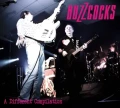 CDBuzzcocks / Different Compilation / Digipack
