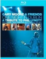 Blu-RayMoore Gary & Friends / One Night In Dublin / Blu-Ray Disc