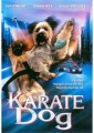 DVDFILM / Karate Dog