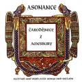 CDAsonance / arodjnice z Amesbury