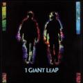 CD1 Giant Leap / 1 Giant Leap