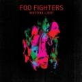 2LPFoo Fighters / Wasting Light / Vinyl / 2LP