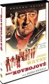 DVDFILM / Mal kovbojov / The Cowboys