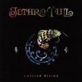 CDJethro Tull / Catfish Rising / Remastered