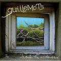 CDGuillemots / Through The Windowpane