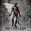 CDSepticflesh / Ophidian Wheel / Reedice