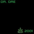 CDDr.Dre / Chronic 2001