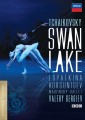 DVDTchaikovsky / Swan Lake / Labut jezero