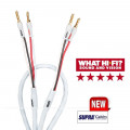 HIFIHIFI / Repro kabel:Supra Rondo 4x2.5 Combicon / 2x3m