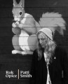 KNISmith Patti / Rok Opice / Kniha