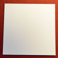 GramofonyGRAMO / Obal na LP kapsa / White / 10ks