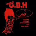LPGBH / Leather,Bristles,No Survivors And Sick Boys... / Vinyl