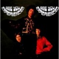 2LPHendrix Jimi / Are You Experienced / Vinyl / 2LP