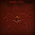 LPMachine Head / Burning Red / Vinyl