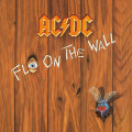 LPAC/DC / Fly On The Wall / Vinyl