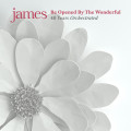 2LP / James / Be Opened By The Wonderful / Vinyl / 2LP