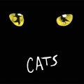 2LPWebber Andrew Lloyd / Cats / 1998 Musical / Vinyl / 2LP