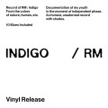 LPRM / Indigo / BTS / Vinyl