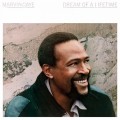LPGaye Marvin / Dream Of a Lifetime / Vinyl / Coloured