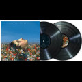 2LPPineapple Thief / Magnolia / Vinyl / 2LP