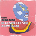 CD / Bees / Sunshine Hit Me