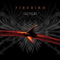 2LPGazpacho / Firebird / Vinyl / 2LP