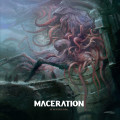 LPMaceration / It Never Ends / Red / Vinyl